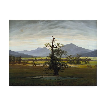Caspar David Friedrich 'Solitary Tree' Canvas Art,35x47